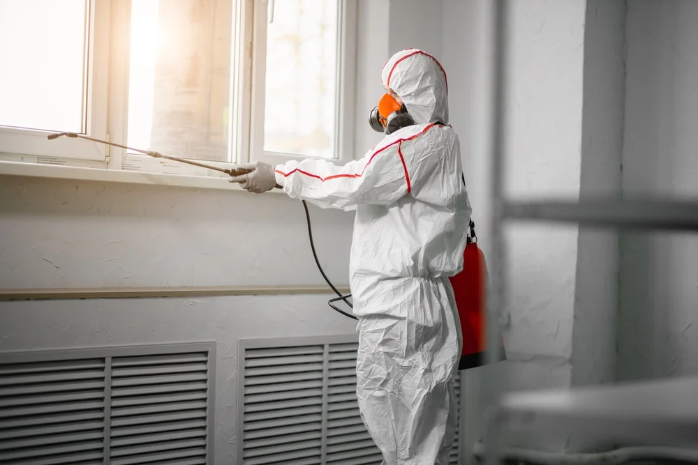 Professional mold remediation services in Bee Spring, KY